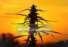 Pregătește-te pentru vară în mod natural