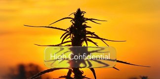 Pregătește-te pentru vară în mod natural